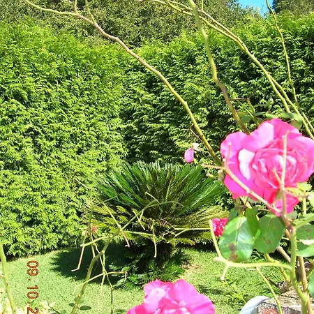 As Adegas Country house