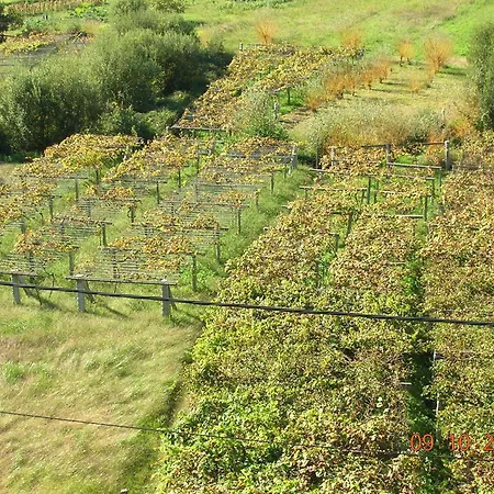 As Adegas Lantställe *