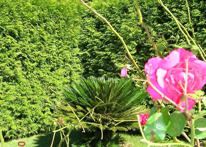 As Adegas Gospodarstwo wiejskie