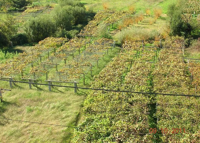 As Adegas Εξοχικό σπίτι *